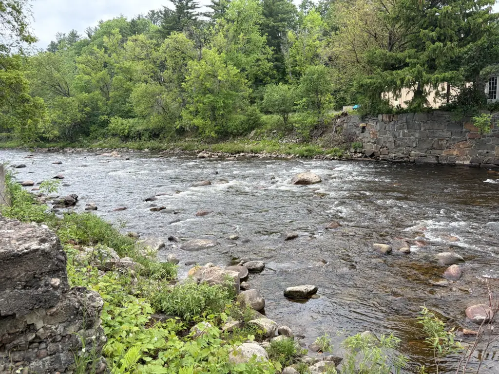 Picture 9