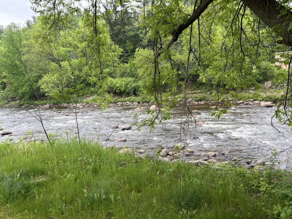 Picture 5