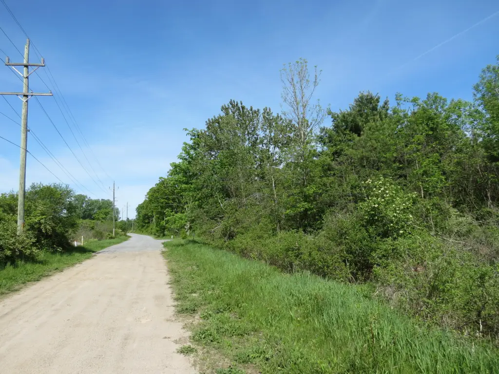 Picture 19