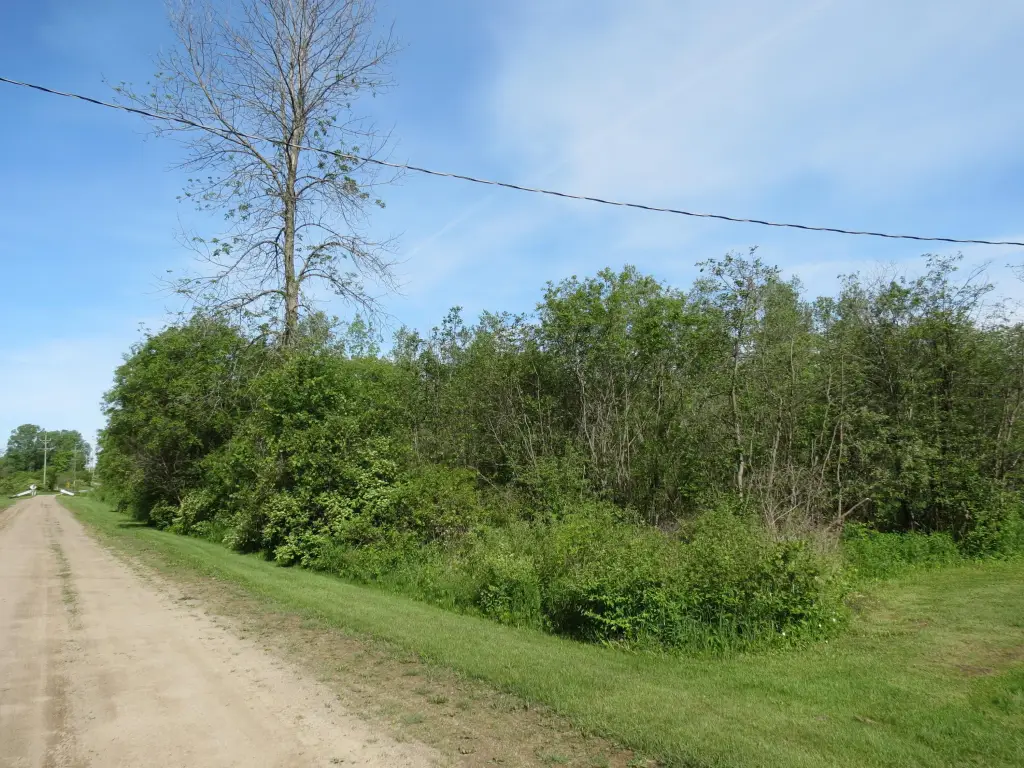 Picture 17