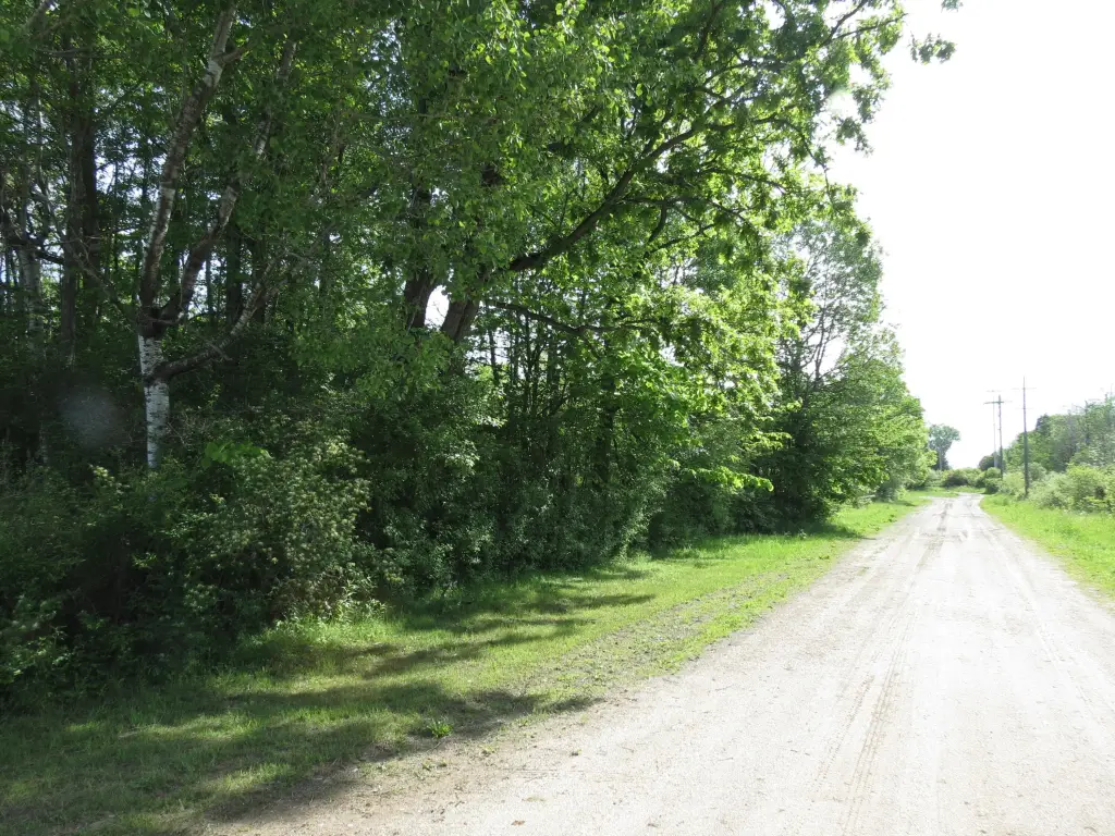 Picture 16