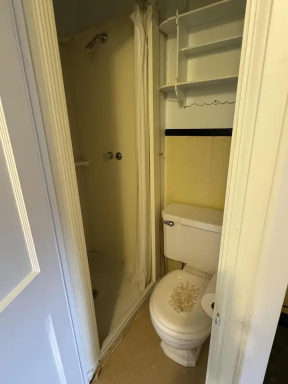 Picture 31