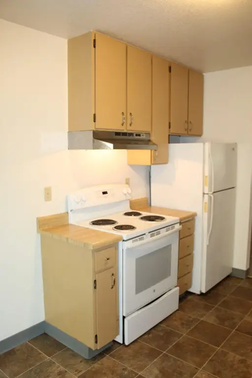 Picture 8