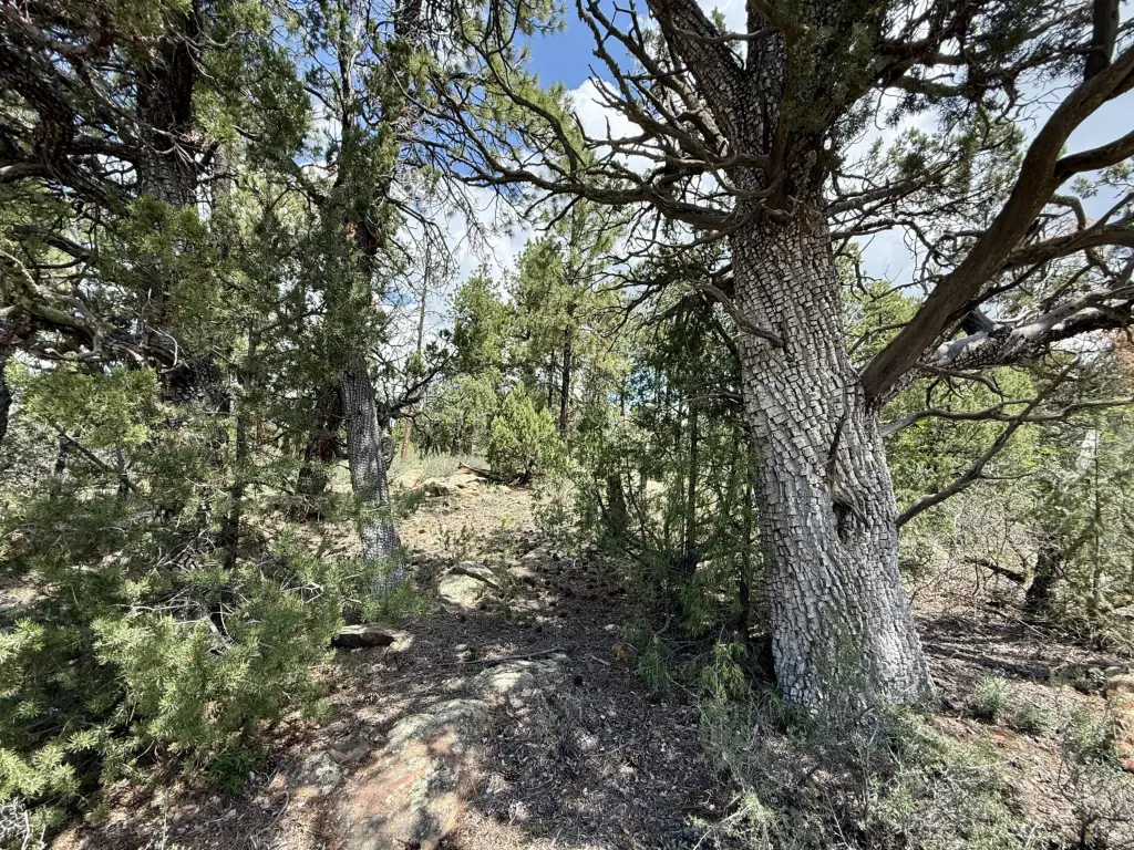 Picture 28