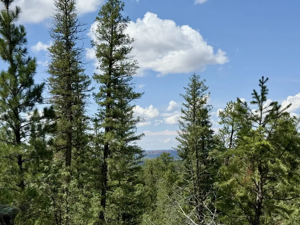 Picture 20