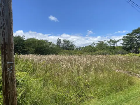 Cleared Residential Development Lot