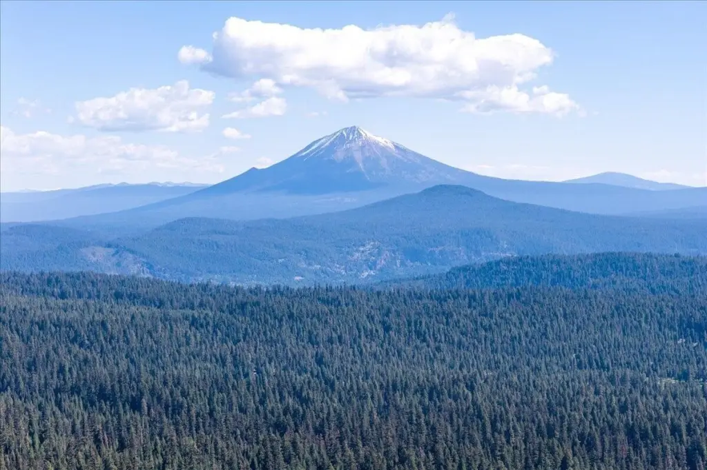 Picture 28