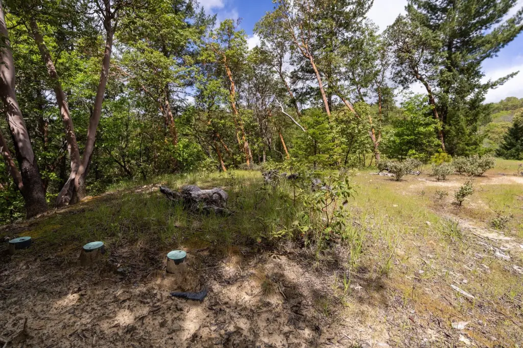 Picture 29