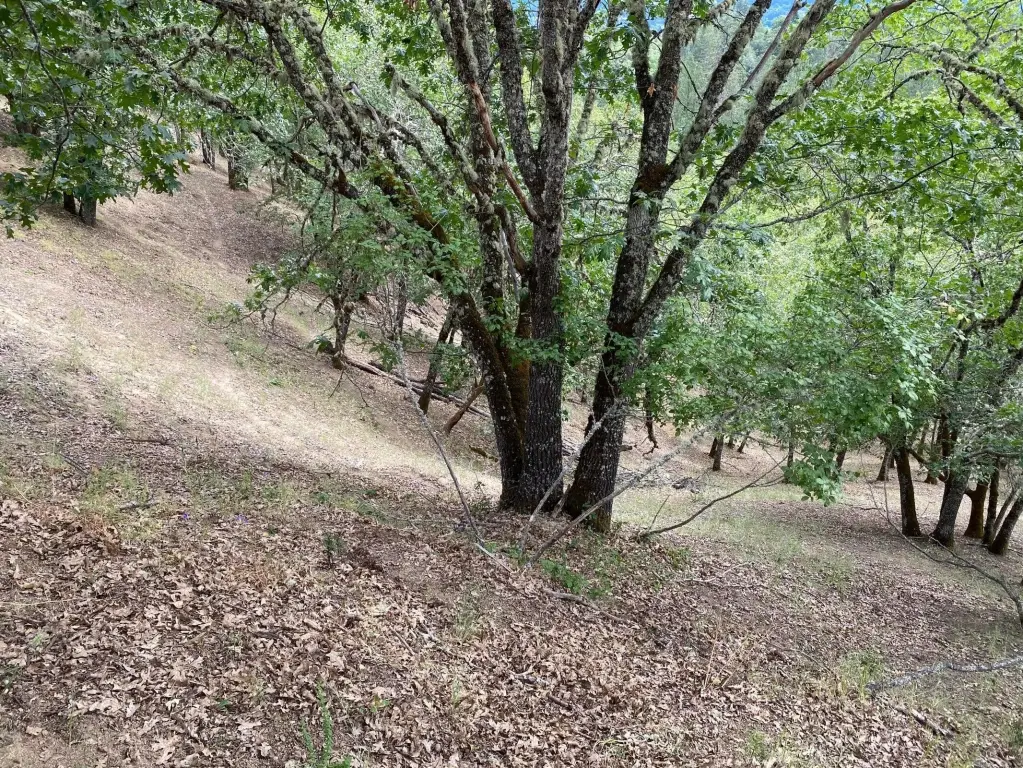 Picture 13