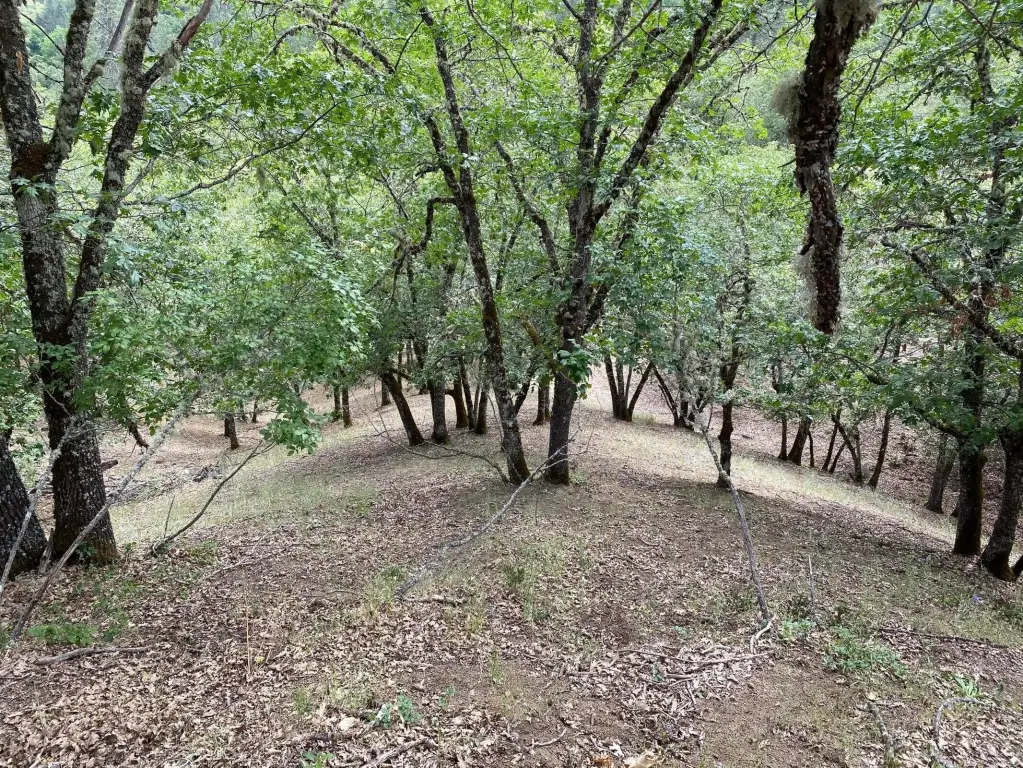 Picture 14