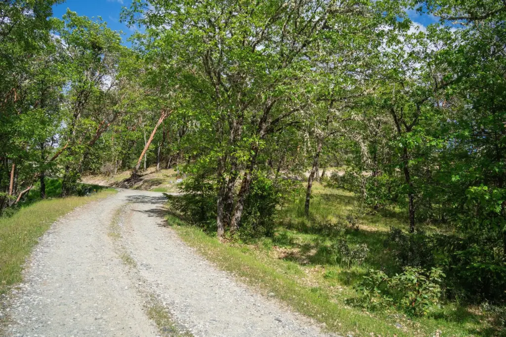 Picture 17