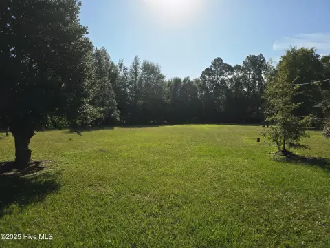 Fair Bluff Land For Sale