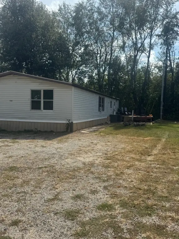 Picture 3