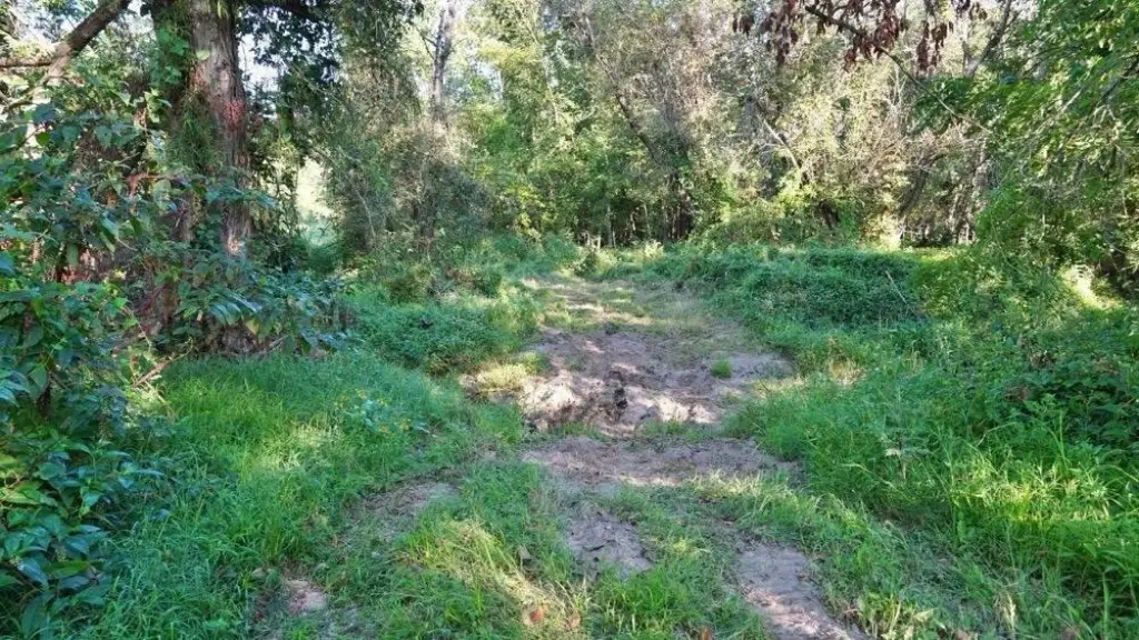 Picture 18