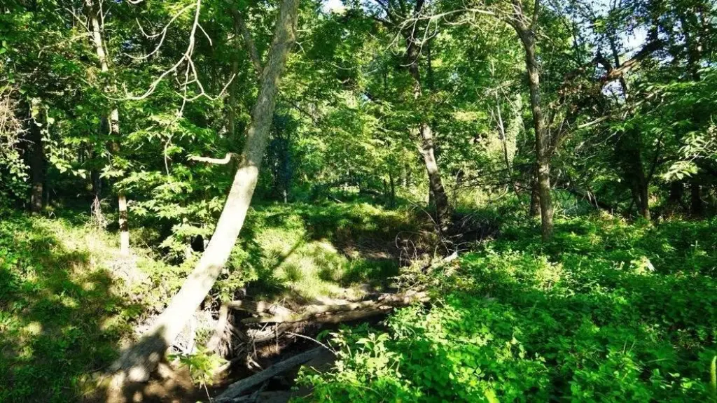Picture 16
