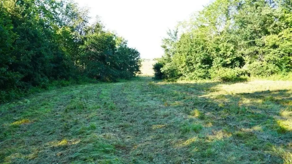 Picture 28