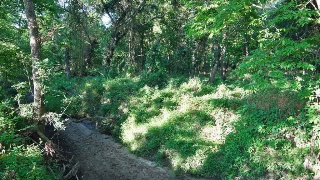 Picture 17