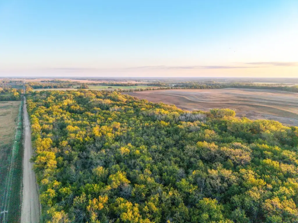 Picture 3