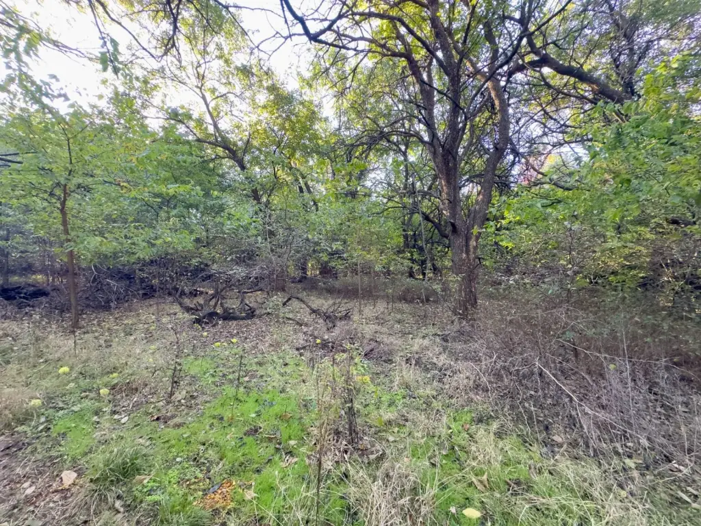 Picture 53
