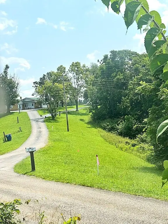 Picture 25