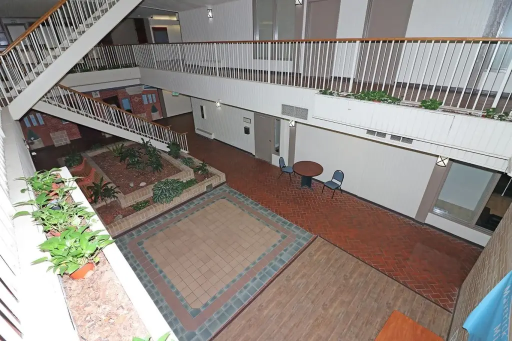 Picture 15