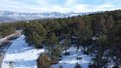 Ridgway, Colorado Wooded Land