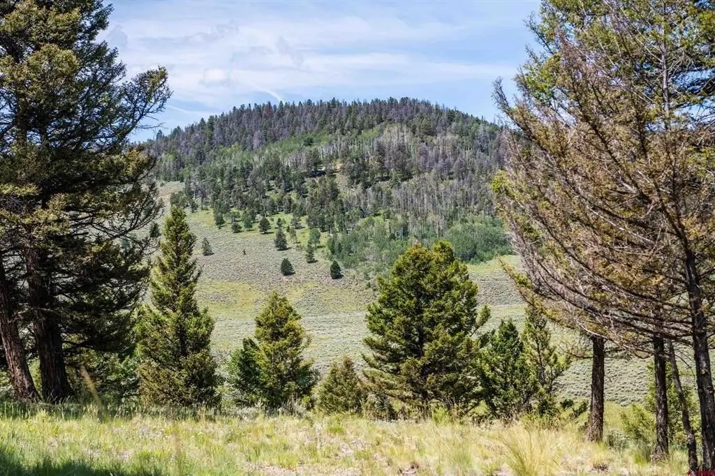 Picture 22