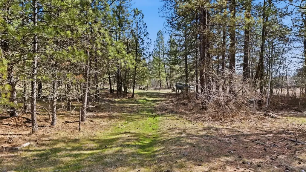 Picture 14