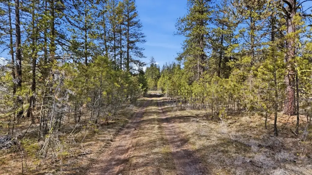Picture 15