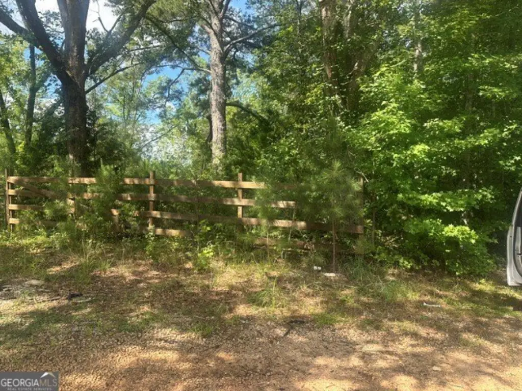 Picture 3