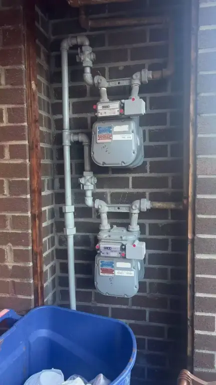 Picture 11
