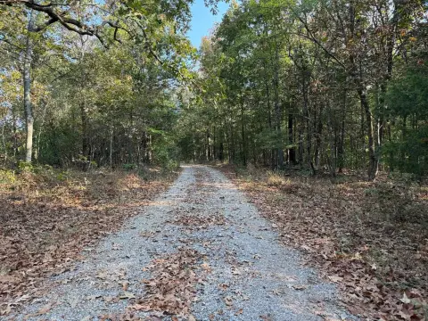 Wooded Hunting Land