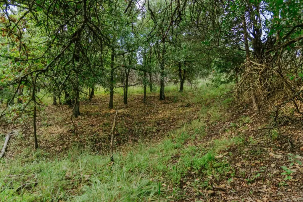 Picture 30