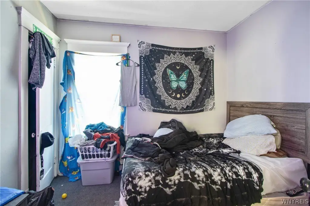 Picture 7