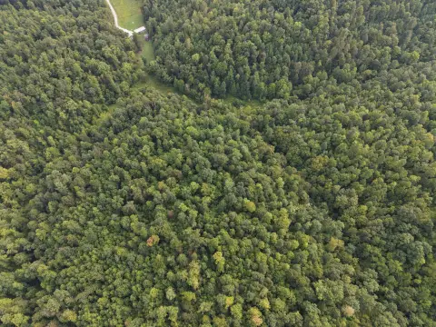 Hunting Land with Cliff Lines