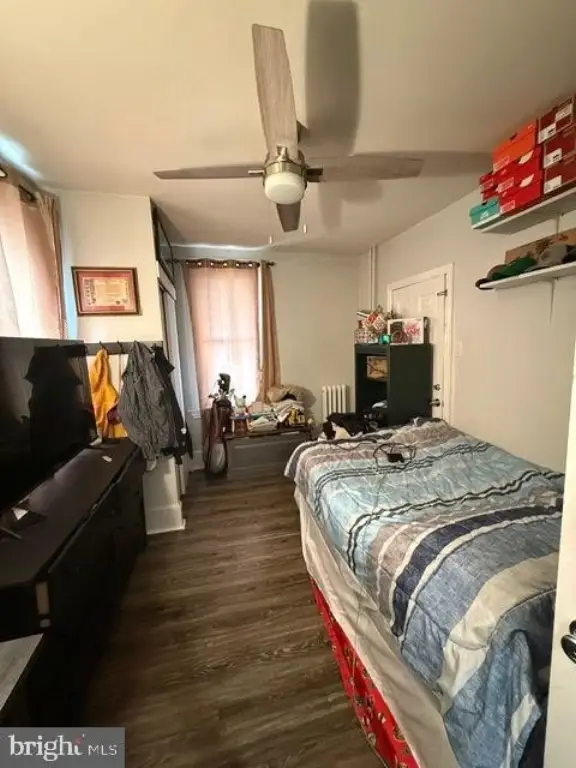 Picture 5