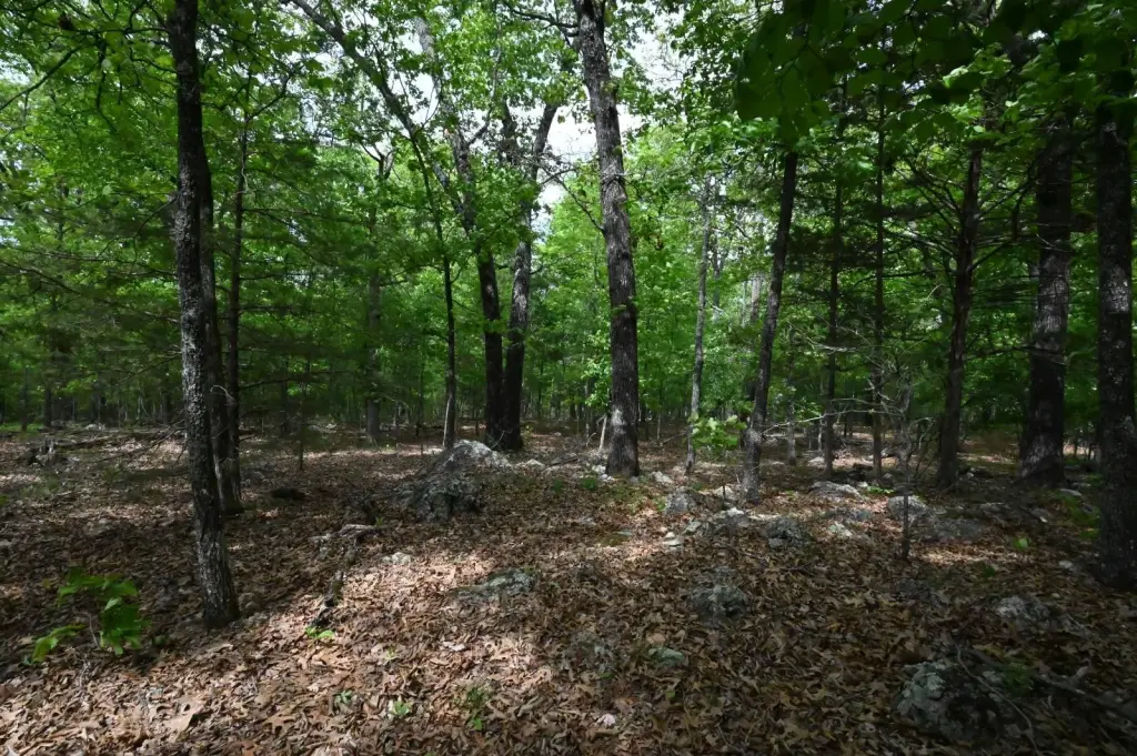 Picture 18