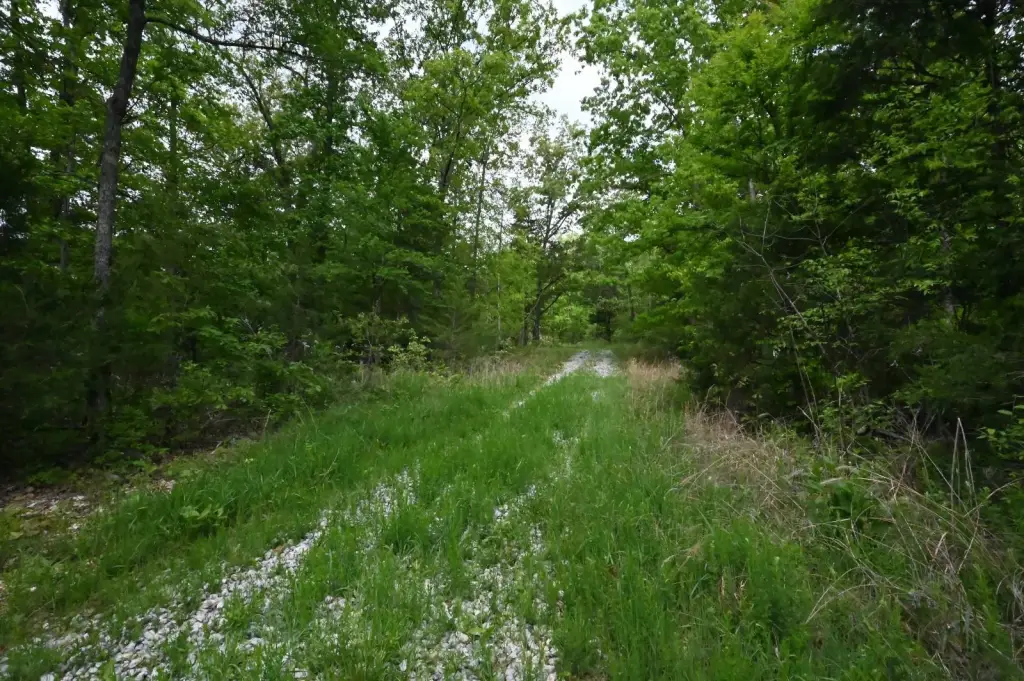 Picture 7