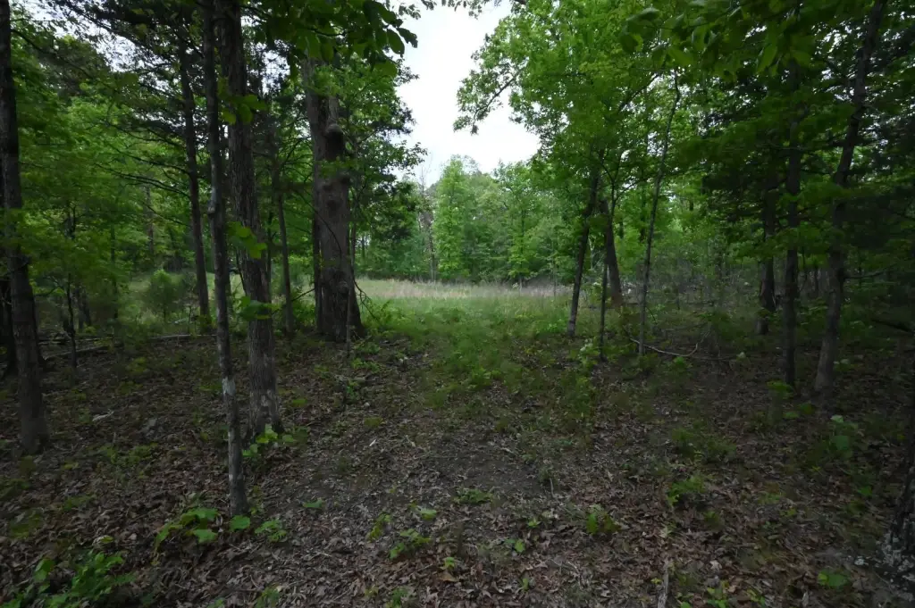 Picture 15