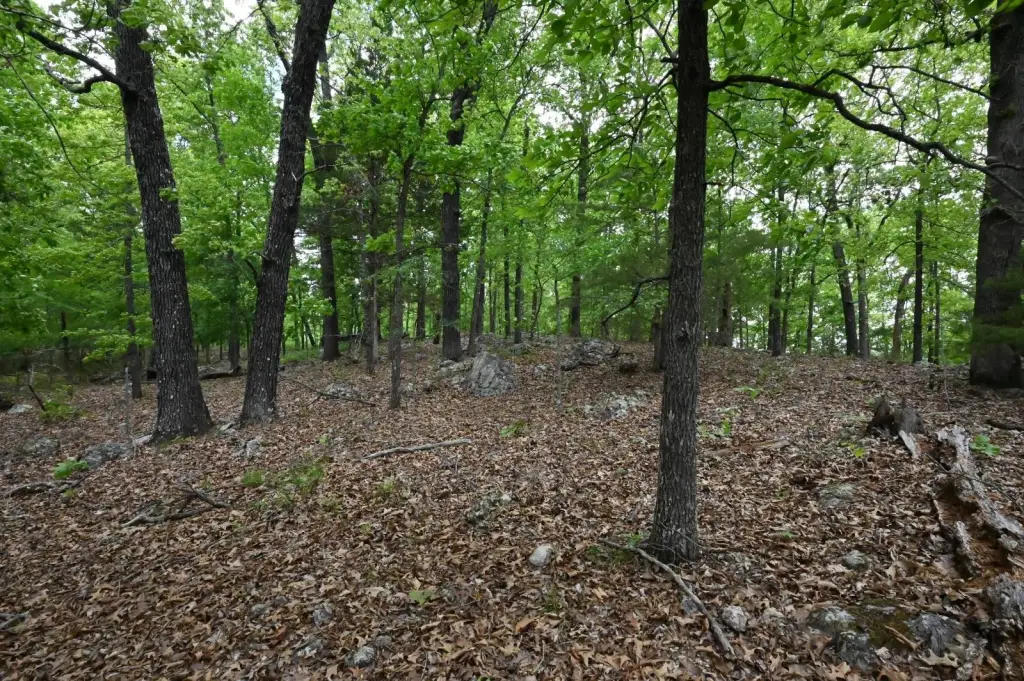 Picture 25