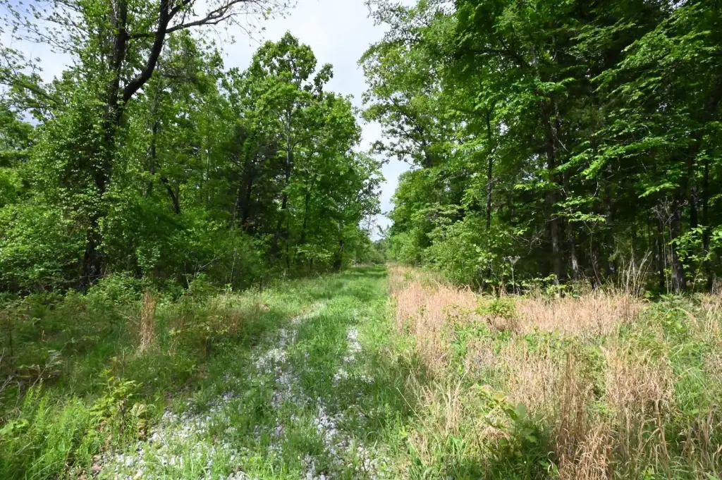 Picture 9
