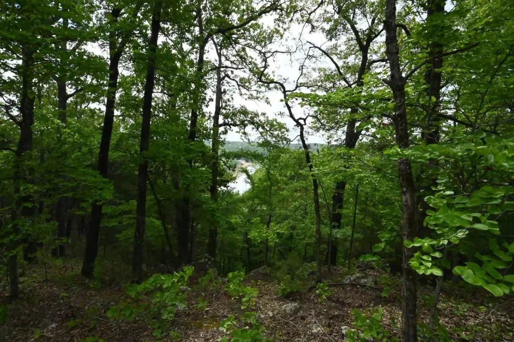 Picture 6
