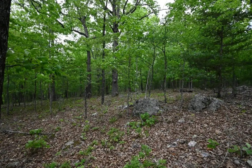 Picture 20