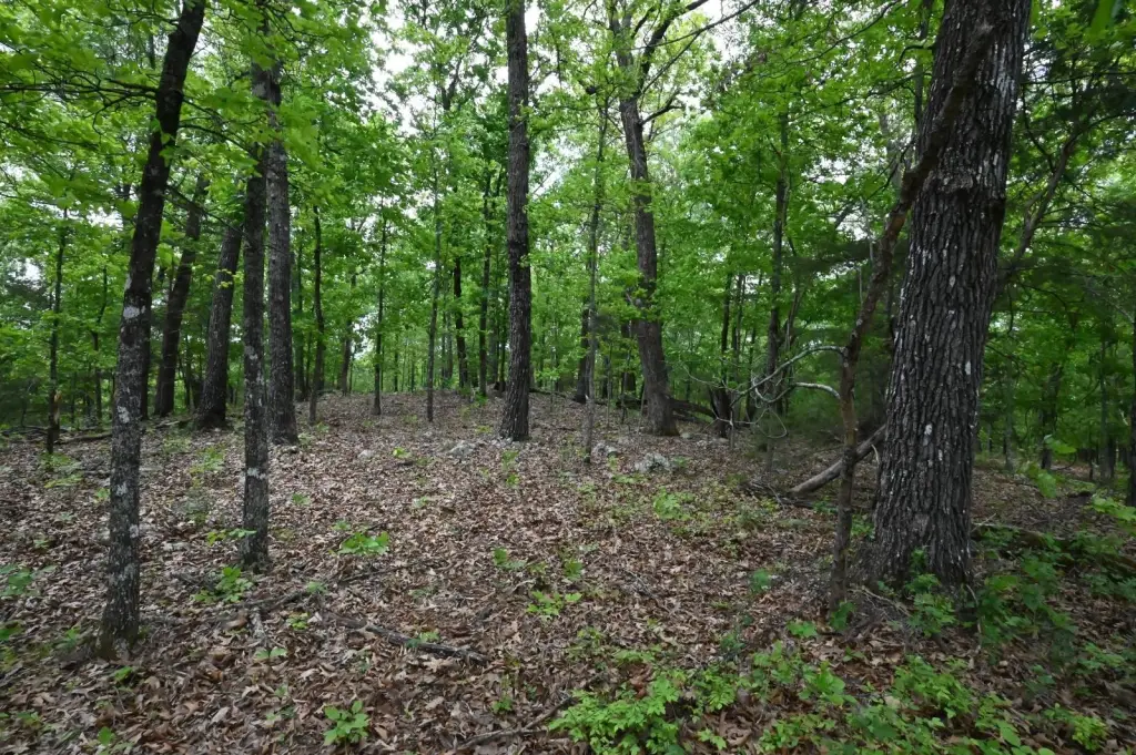 Picture 16
