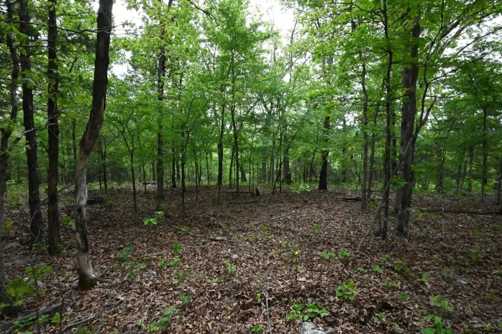 Picture 14