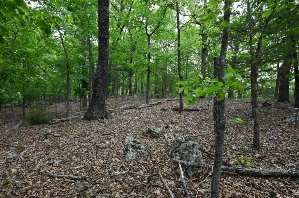 Picture 24