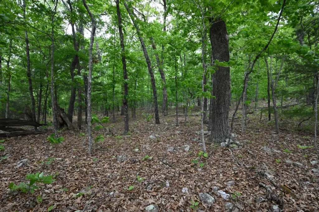Picture 17