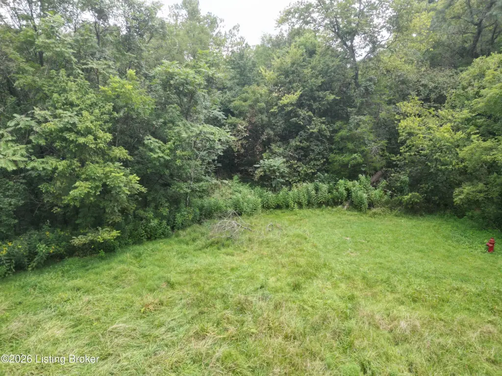 Picture 19