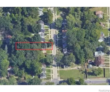Residential Vacant Land in Detroit