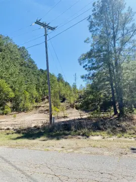 Wooded Acreage Near Downtown Camden